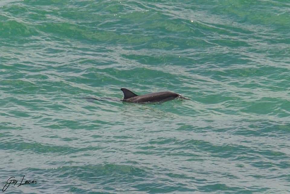 WhatsApp Image 2022-07-28 at 11.33.22 PM.jpeg